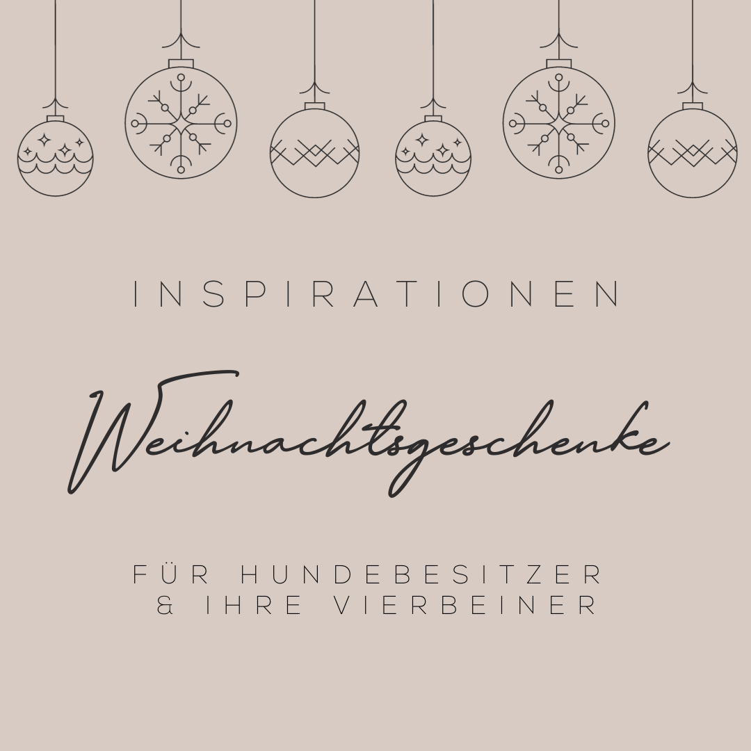 Text auf Bild: Inspirationen Weihnachtsgeschenke für Hundebesitzer und ihre Vierbeiner