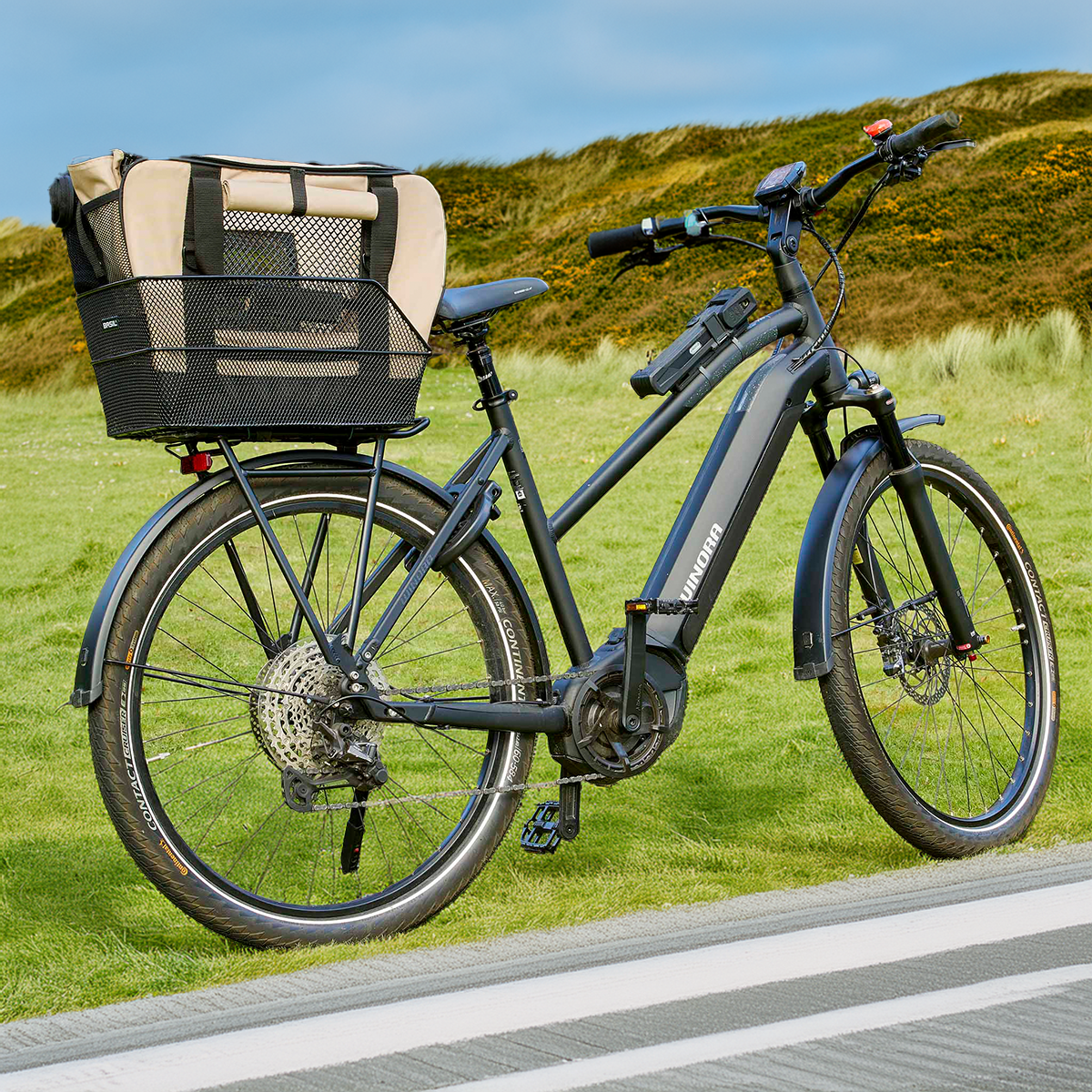 Ein Fahrrad steht am Straßenrand vor einem Deich an der Nordsee. Auf dem Gepäckträger befindet sich eine Hunde Fahrradtasche im Fahrradkorb.