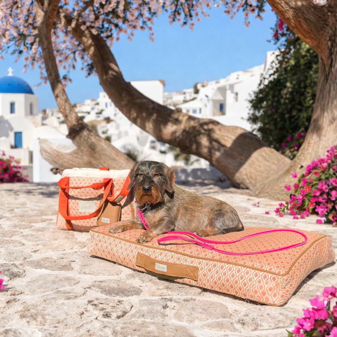 Hundekissen Santorini Moodbild mit Dackel