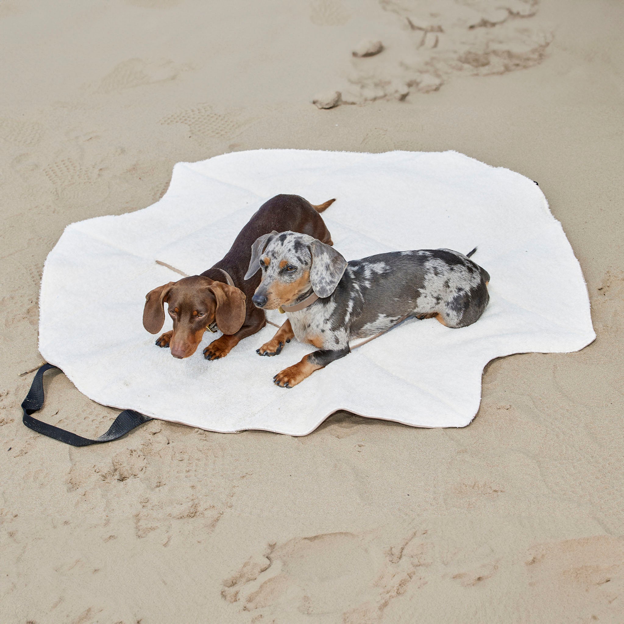 Sommer am Strand