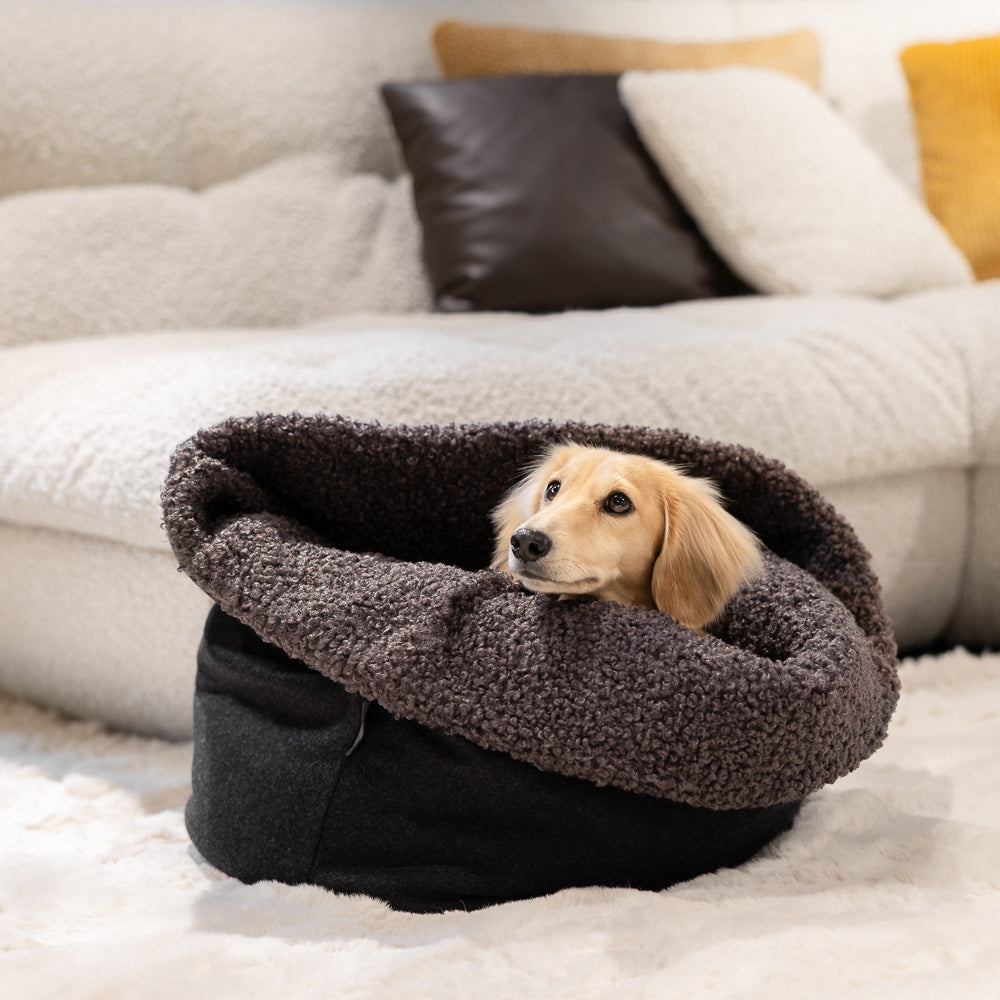Dackel eingekuschelt im Kuschelsack Kitzbühel im Wohnzimmer