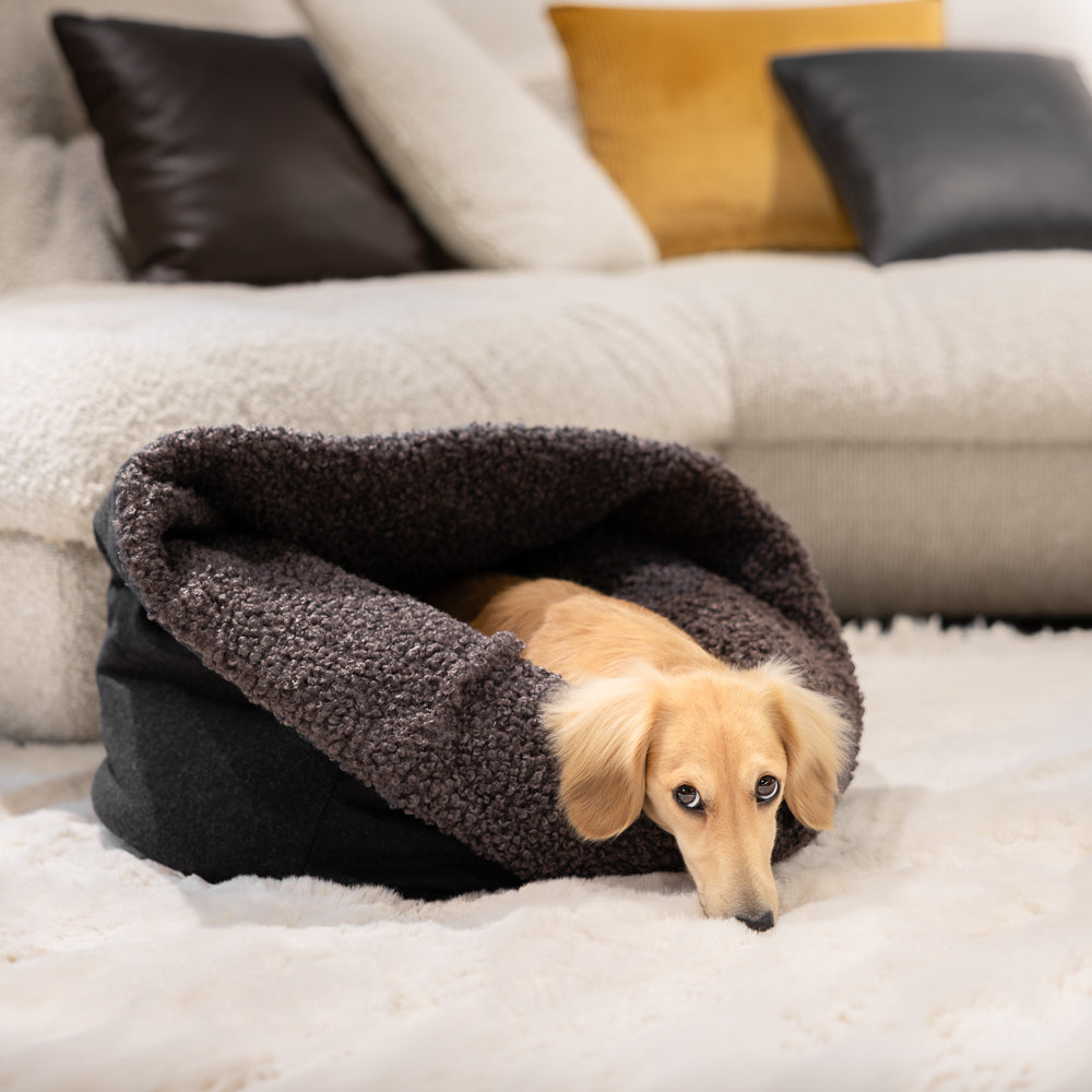Dackel liegt im Kuschelsack Kitzbühel im Wohnzimmer