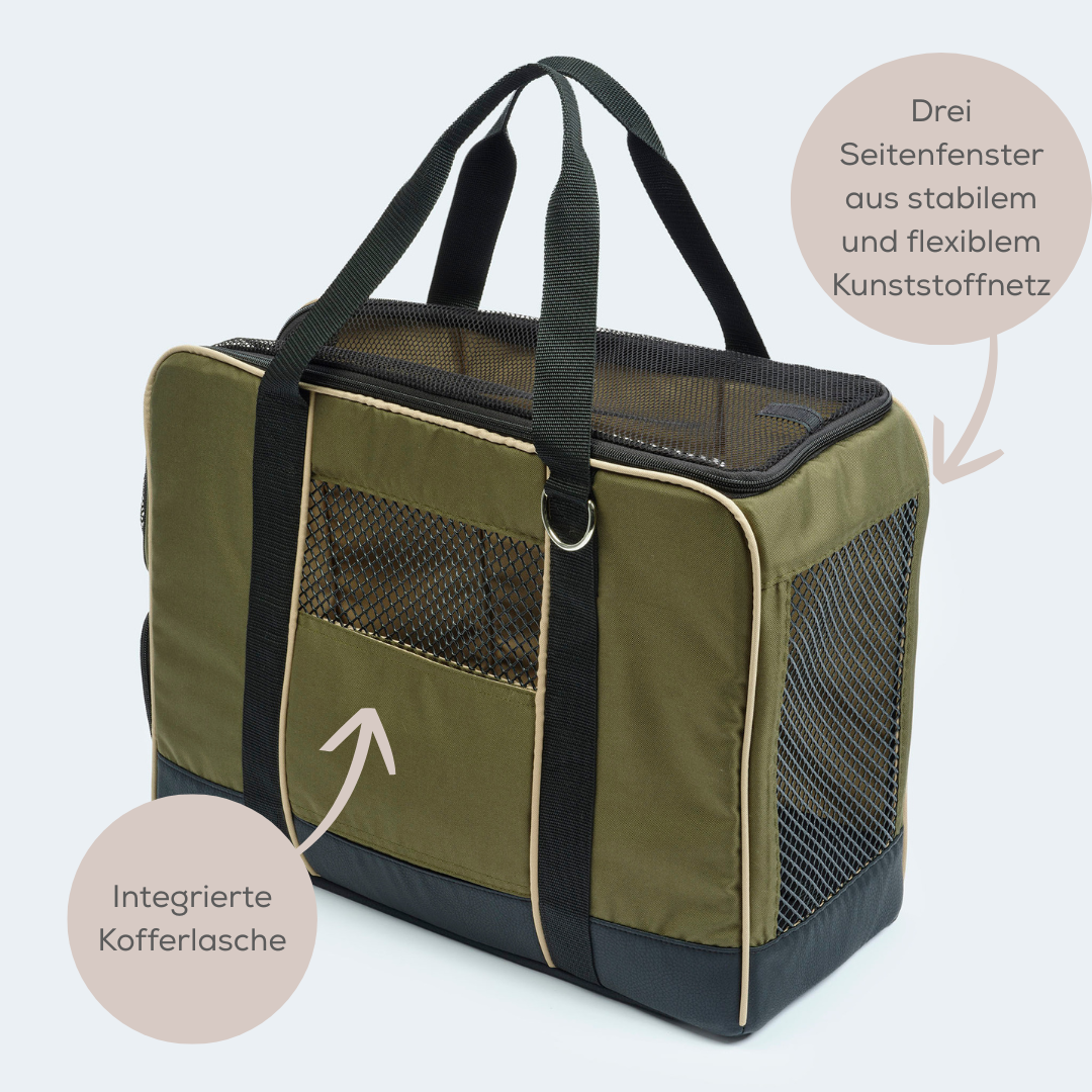 Flight bag for dachshunds and small dogs with orthopedic mattress
