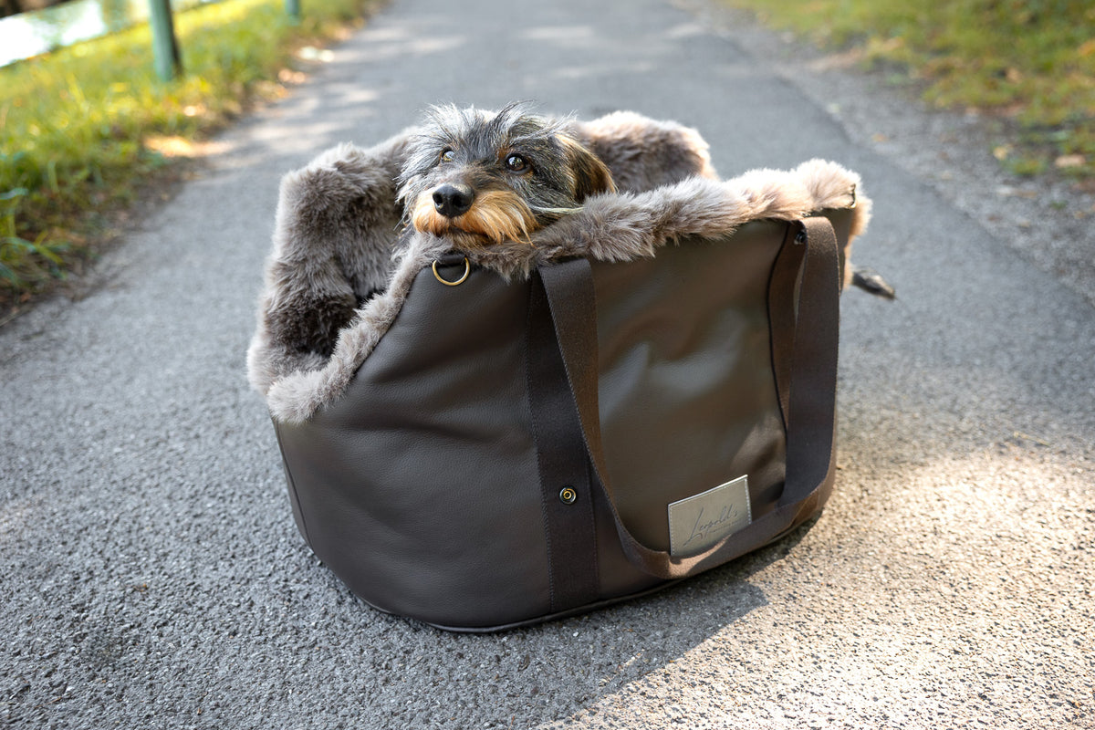 Autotasche Winter in braun. Moodbild draußen