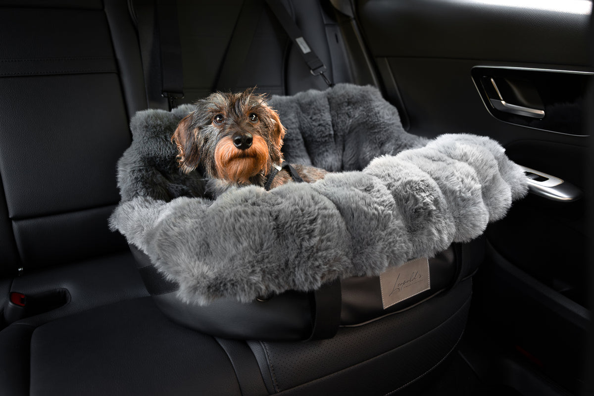 Autotasche Winter in schwarz. Moodbild mit Dackel im Auto