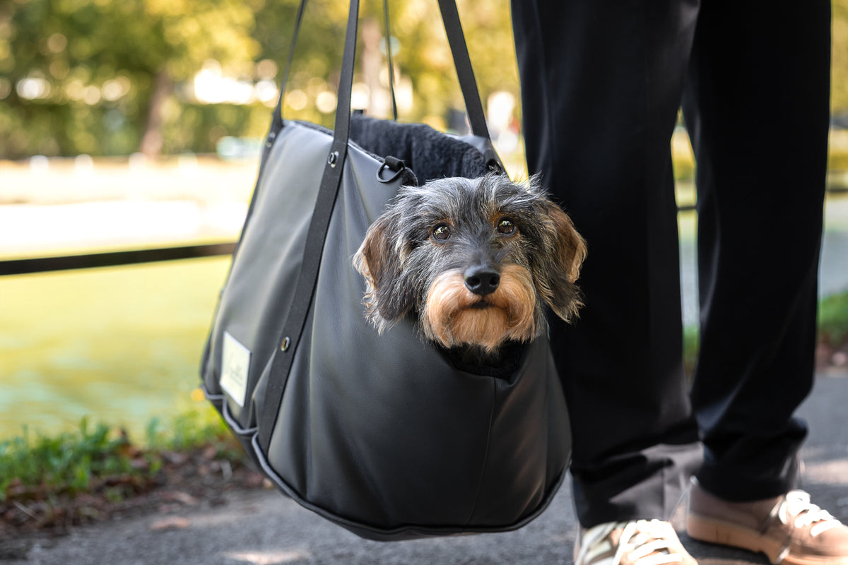 Autotasche in schwarz. Moodbild von getragener Tasche mit Dackel