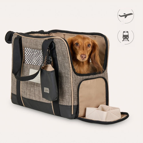 Dackel sitzt in Leopold's Finest for Dogs Hundeflugtasche Skybag in braun aufrechter Stand [braun]