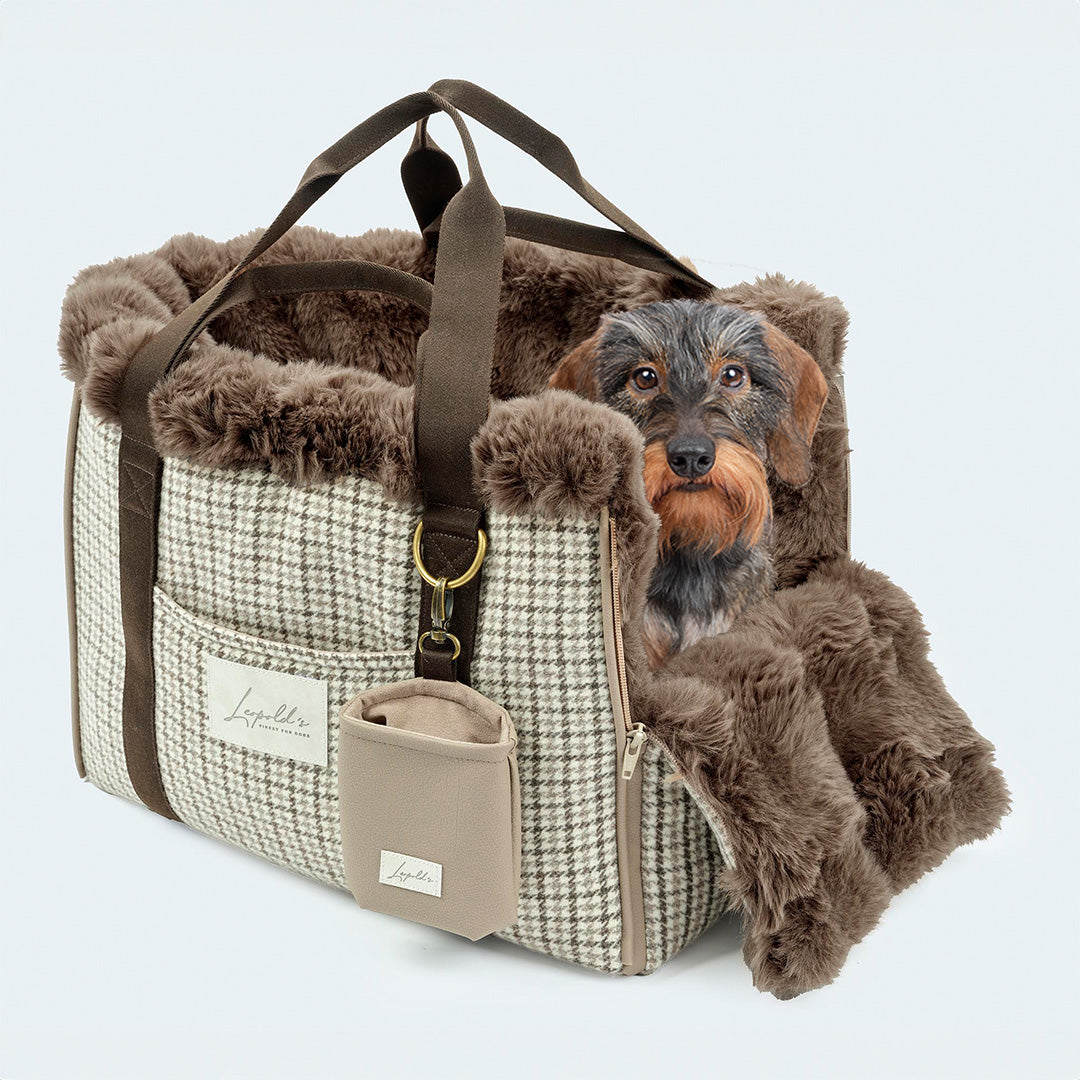 Leopold's Finest | Dackel sitzt in CosyBag St.Moritz mit Schattenkaro-Muster und Webpelz innen Hundetasche für Dackel und kleine Hunde 