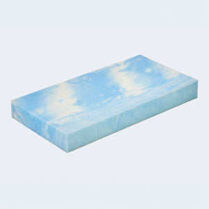 Orthopedic dog mattress for flight bag