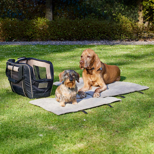 Bild im freien. Fahrradtasche Dackel auf der Hundematte Outdoor in S und ein Madia Vizla auf der Hunddecke in M.