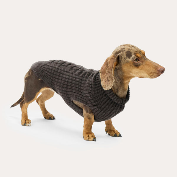 Leopold's Finest for Dogs Glatthaardackel trägt Hundepullover für Dackel und kleine Hunde aus Cashmere in der Farbe braun [dunkelbraun]