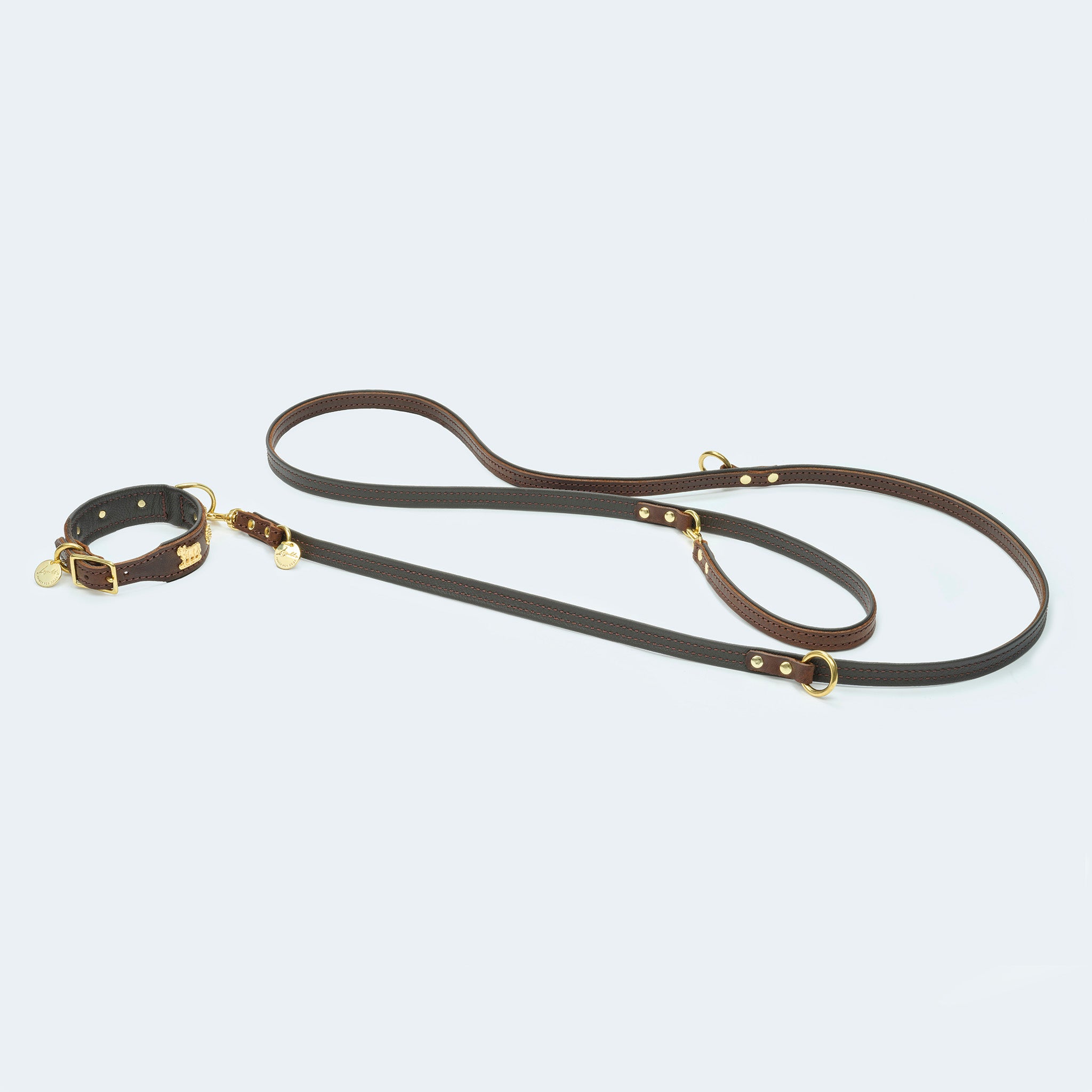 Leopold's Finest | Hundehalsband Leder dunkelbraun mit Karabiner und goldenem Kuhbeschlag aus Messing mit verstellbarer Hundeleine in dunkelbraun für Dackel und kleine Hunde