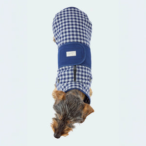 Leopold's Finest | Dackel trägt Hundemantel aus Wolle mit Vichy Karo-Muster in blau für Dackel und kleine Hunde Sicht von oben