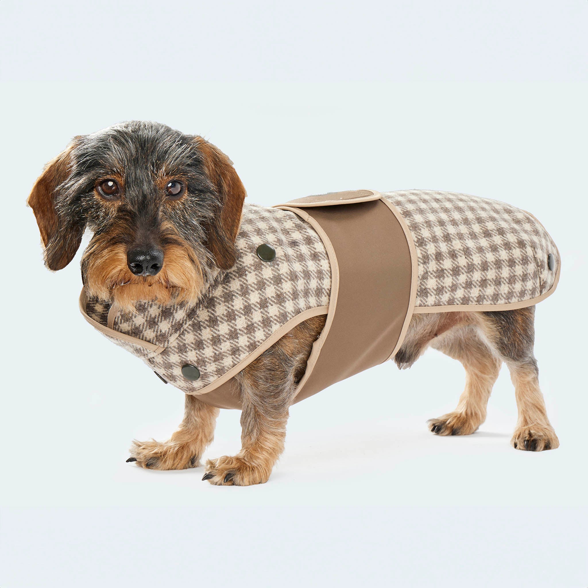 Hundemantel Wolle Softshell Vichy Karo taupe