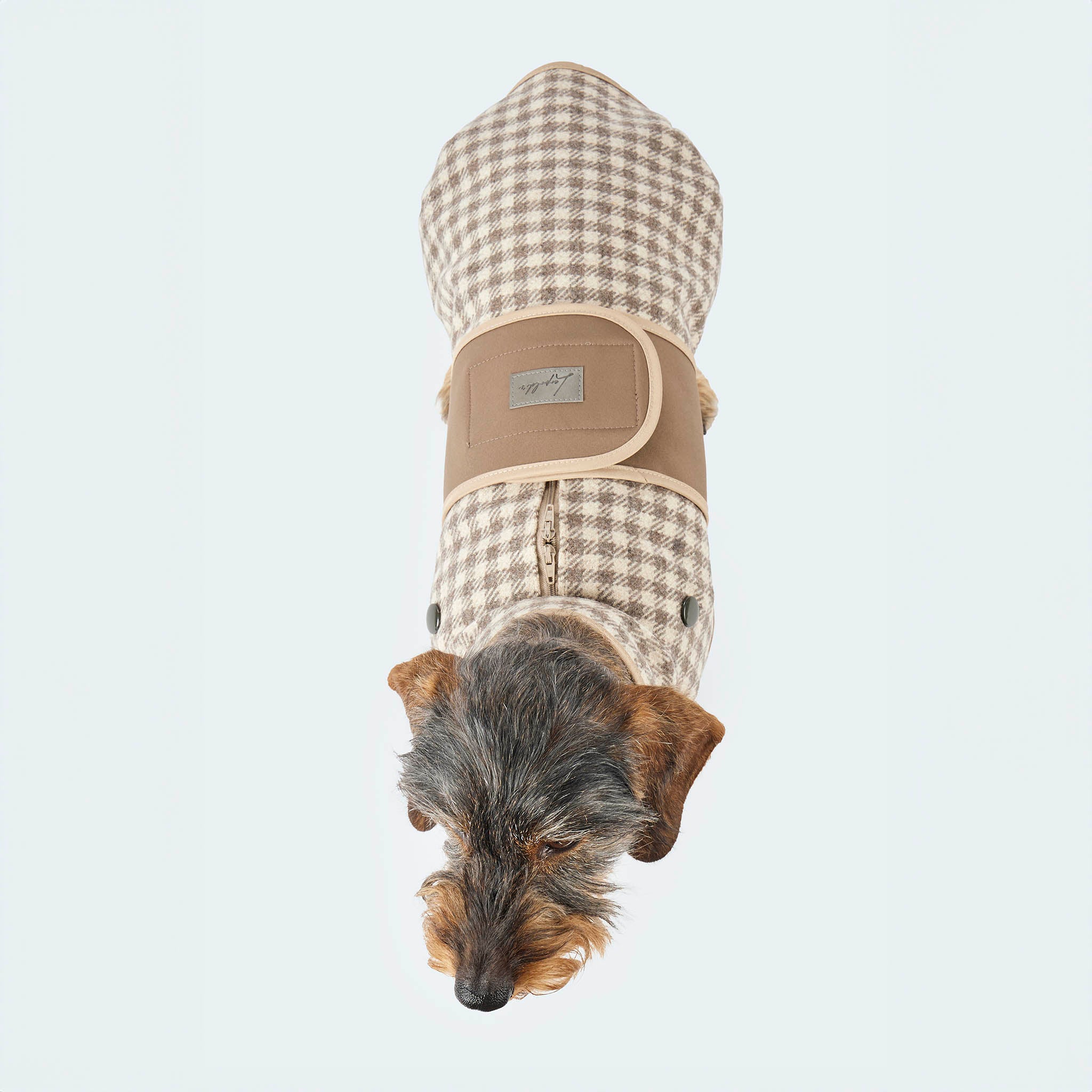 Hundemantel Wolle Softshell Vichy Karo taupe