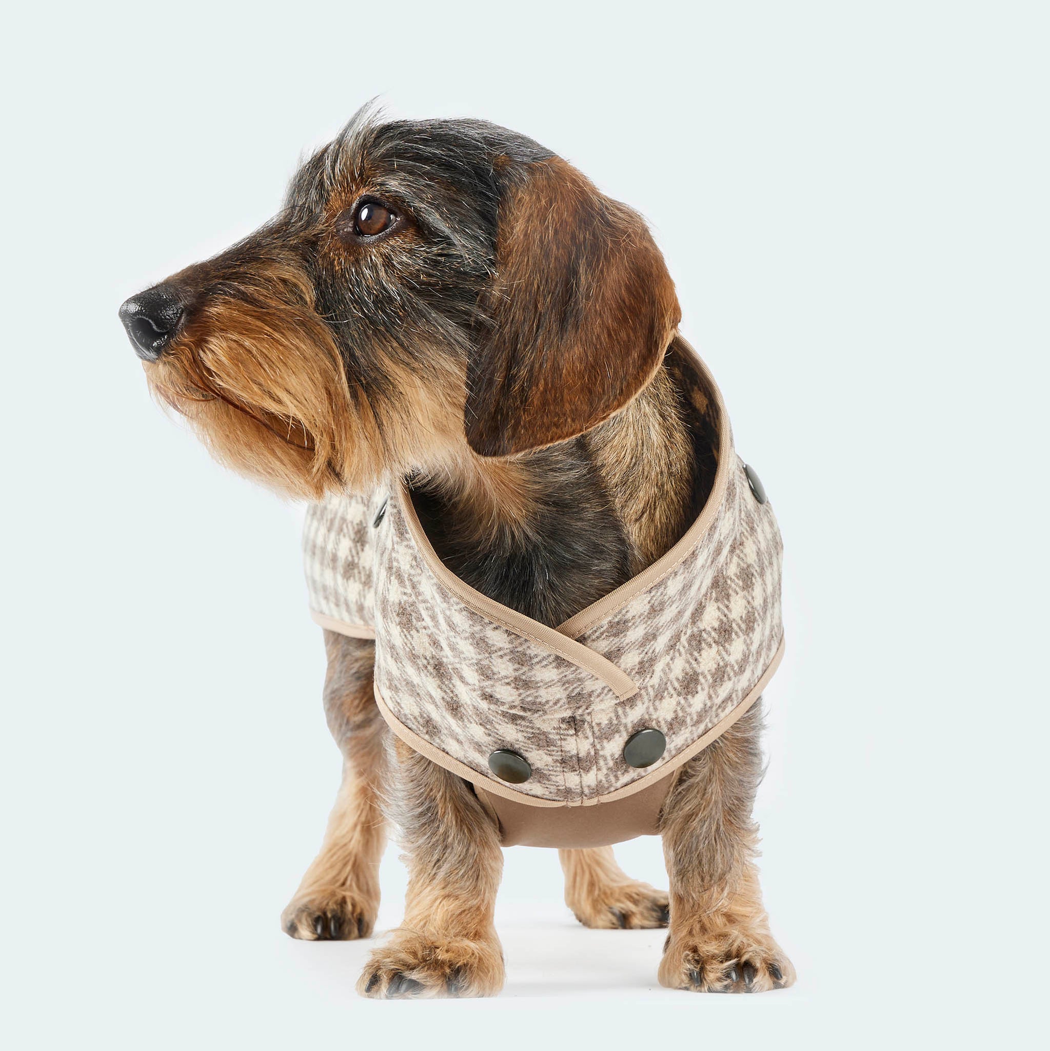 Hundemantel Wolle Softshell Vichy Karo taupe