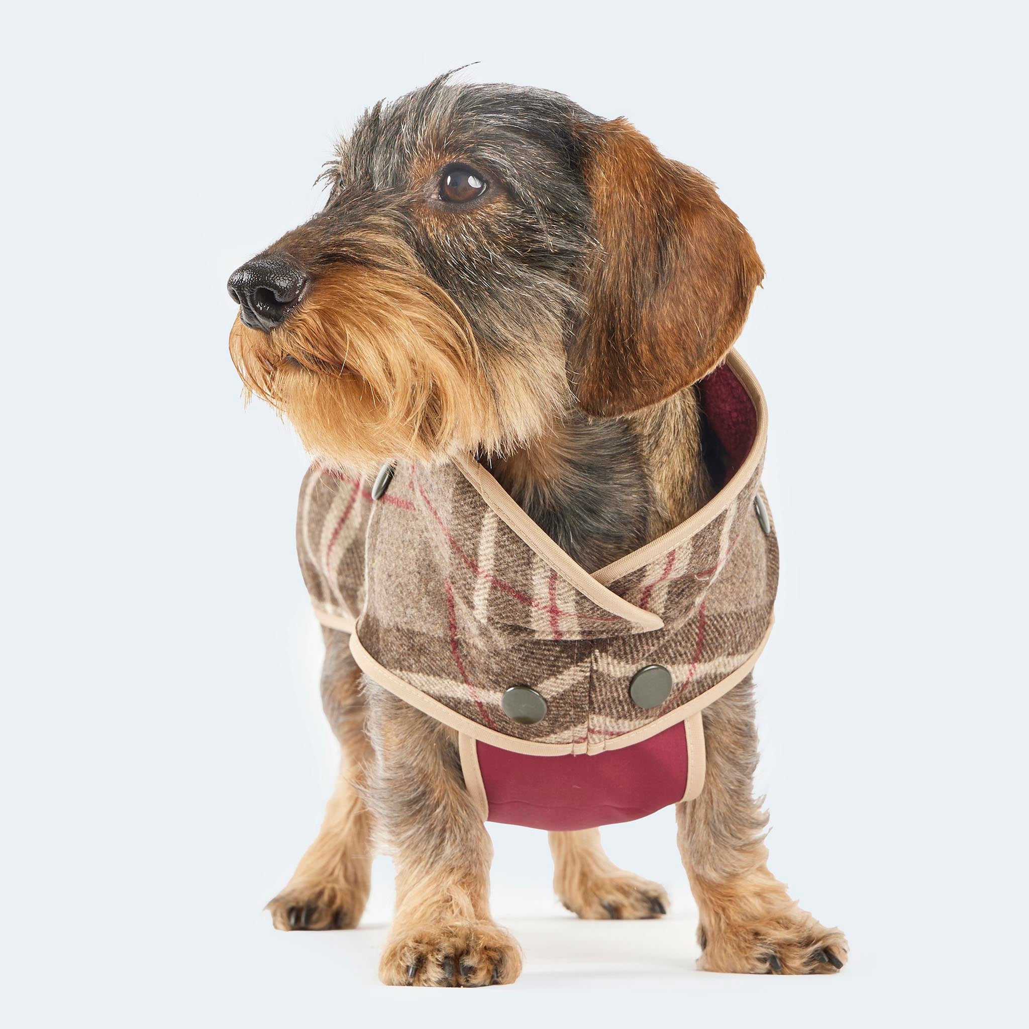 Hundemantel Wolle Softshell Glencheck braun