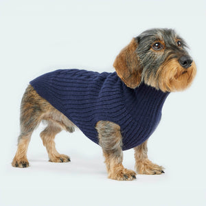 Leopold's Finest | Dackel trägt Hundepullover aus Merinowolle für Dackel und kleine Hunde in dunkelblau 