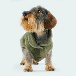 Leopold's Finest | Dackel trägt Hundebademantel