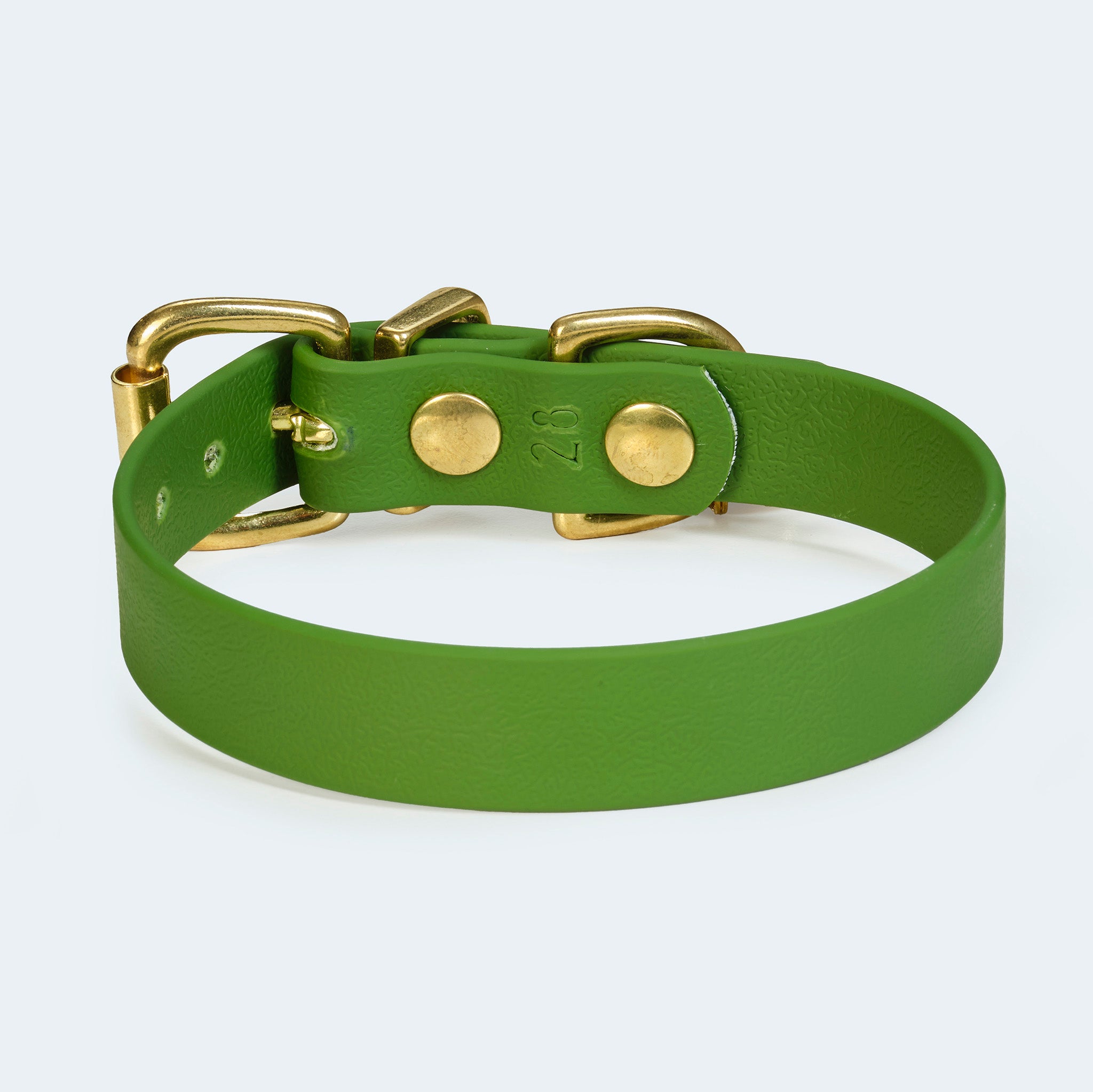 Hundehalsband Adventure in Oliv von hinten [Oliv]