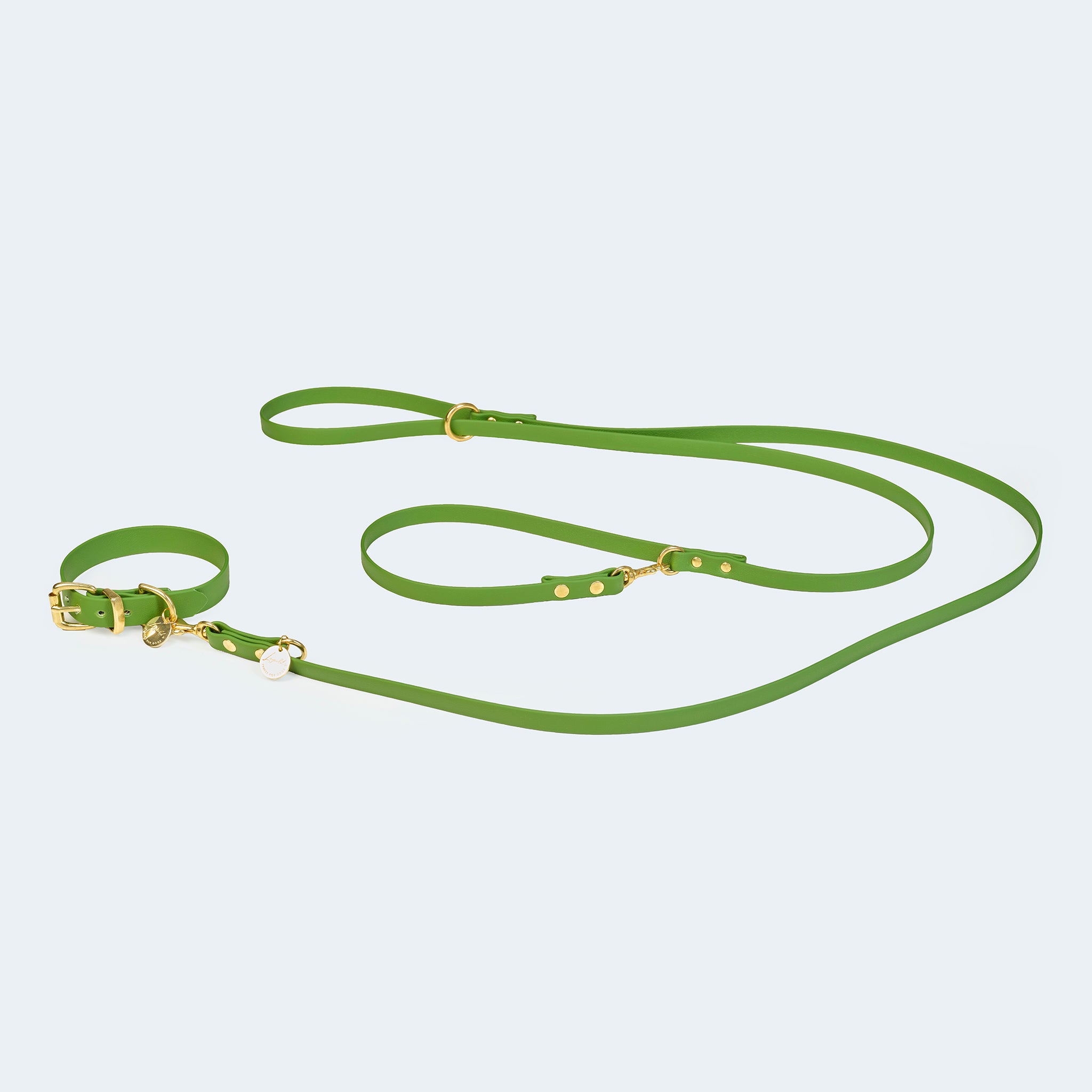 Hundehalsband Adventure in Oliv mit Leine [Oliv]