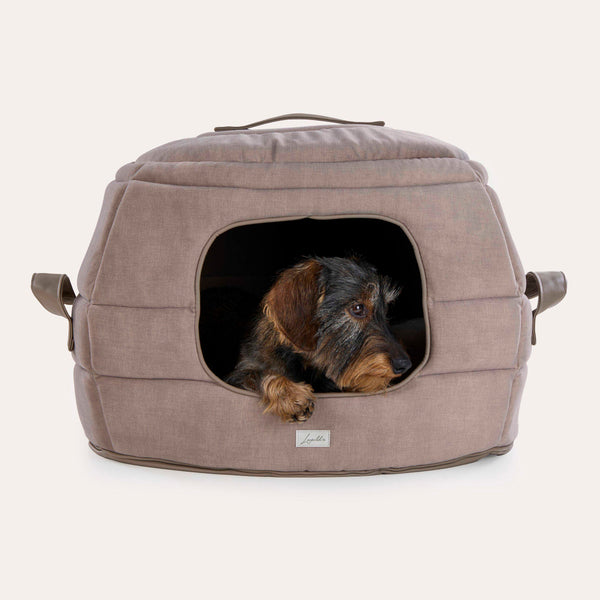 Leopold's Finest Rauhaardackel liegt in Hundehöhle und Hundebett Alpin [taupe]