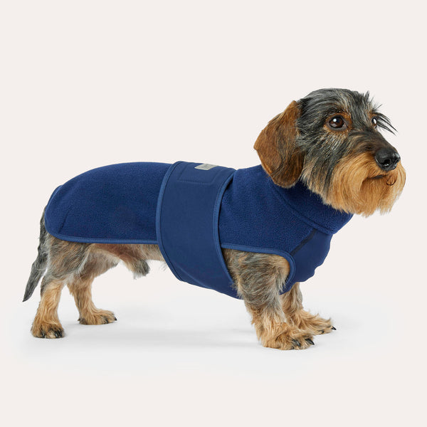 Leopold's Finest | Dackel trägt Hundemantel Fleece in Dunkelblau mit Softshellbrustlatz für Dackel und kleine Hunde