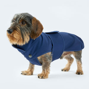 Hundemantel Softshell für Dackel und kleine Hunde in dunkelblau