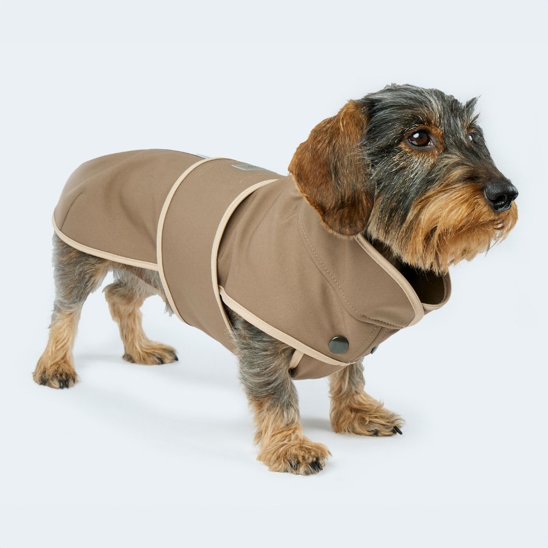 Hundemantel Softshell für Dackel und kleine Hunde in braun