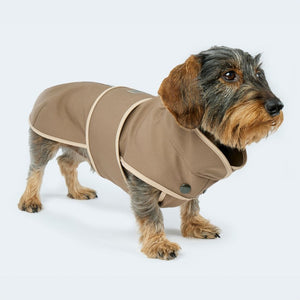 Hundemantel Softshell für Dackel und kleine Hunde in braun
