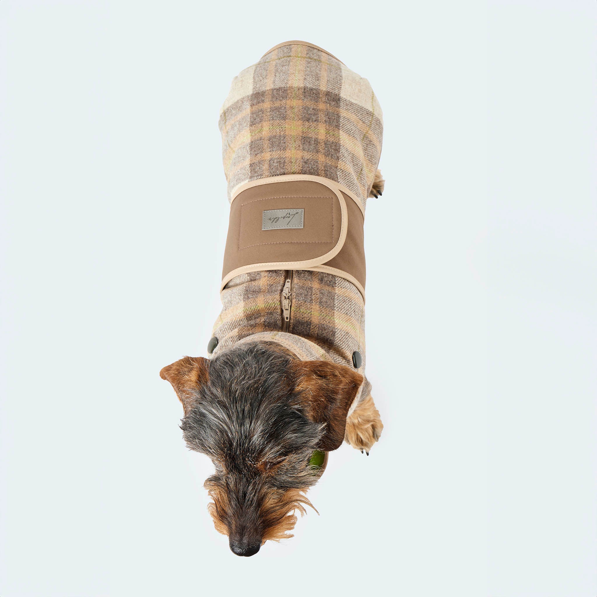 Hundemantel Wolle Softshell Glencheck taupe