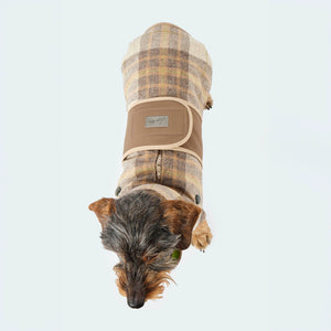 Hundemantel Wolle Softshell Glencheck taupe