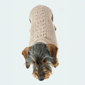 Leopold's Finest | Dackel trägt Hundepullover aus Schurwolle für Dackel und kleine Hunde in taupe Sicht von oben