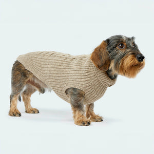 Leopold's Finest | Dackel trägt Hundepullover aus Schurwolle in taupe für Dackel und kleine Hunde