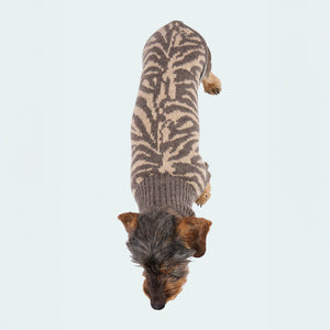 Hundestrickpullover Zebra taupe