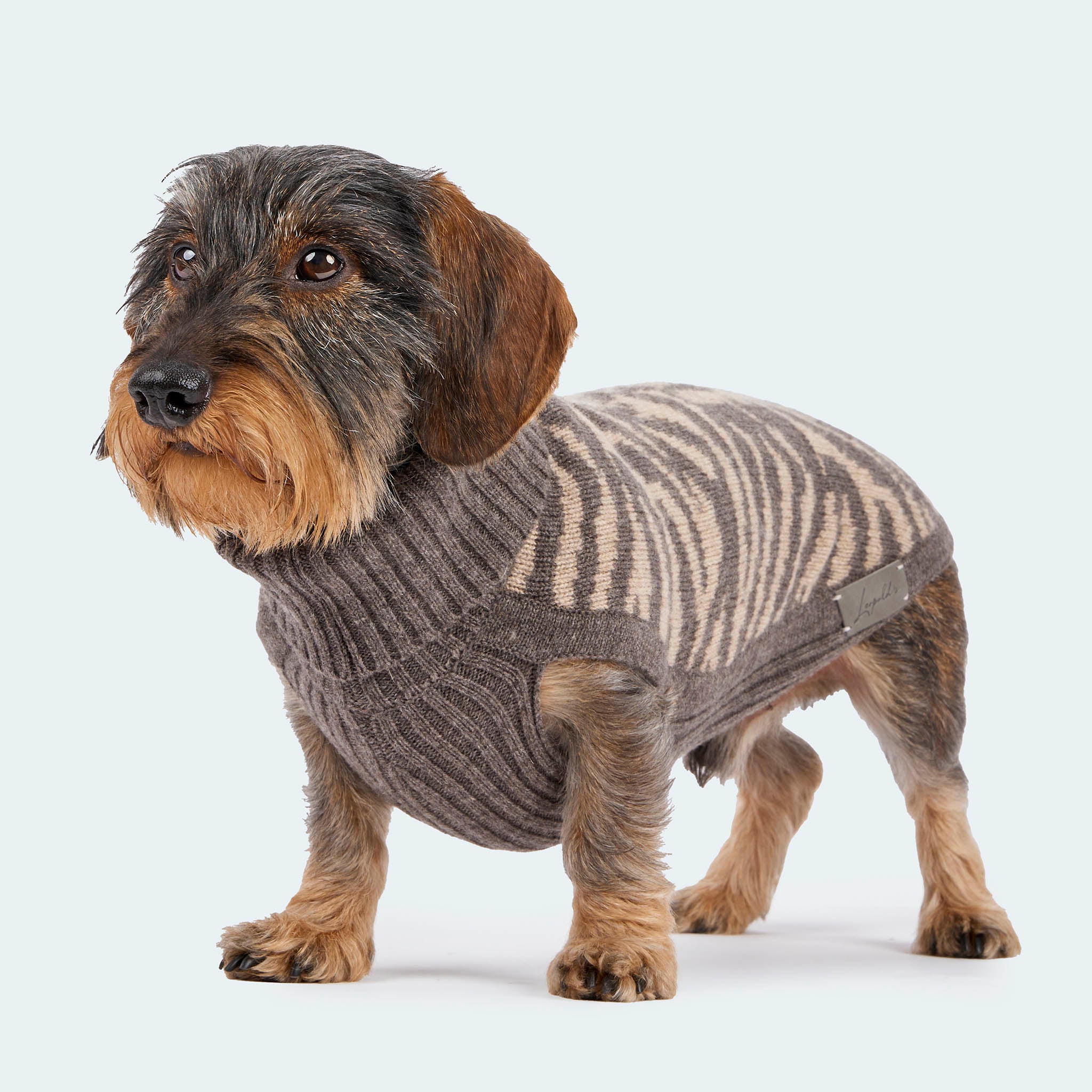 Hundestrickpullover Zebra taupe