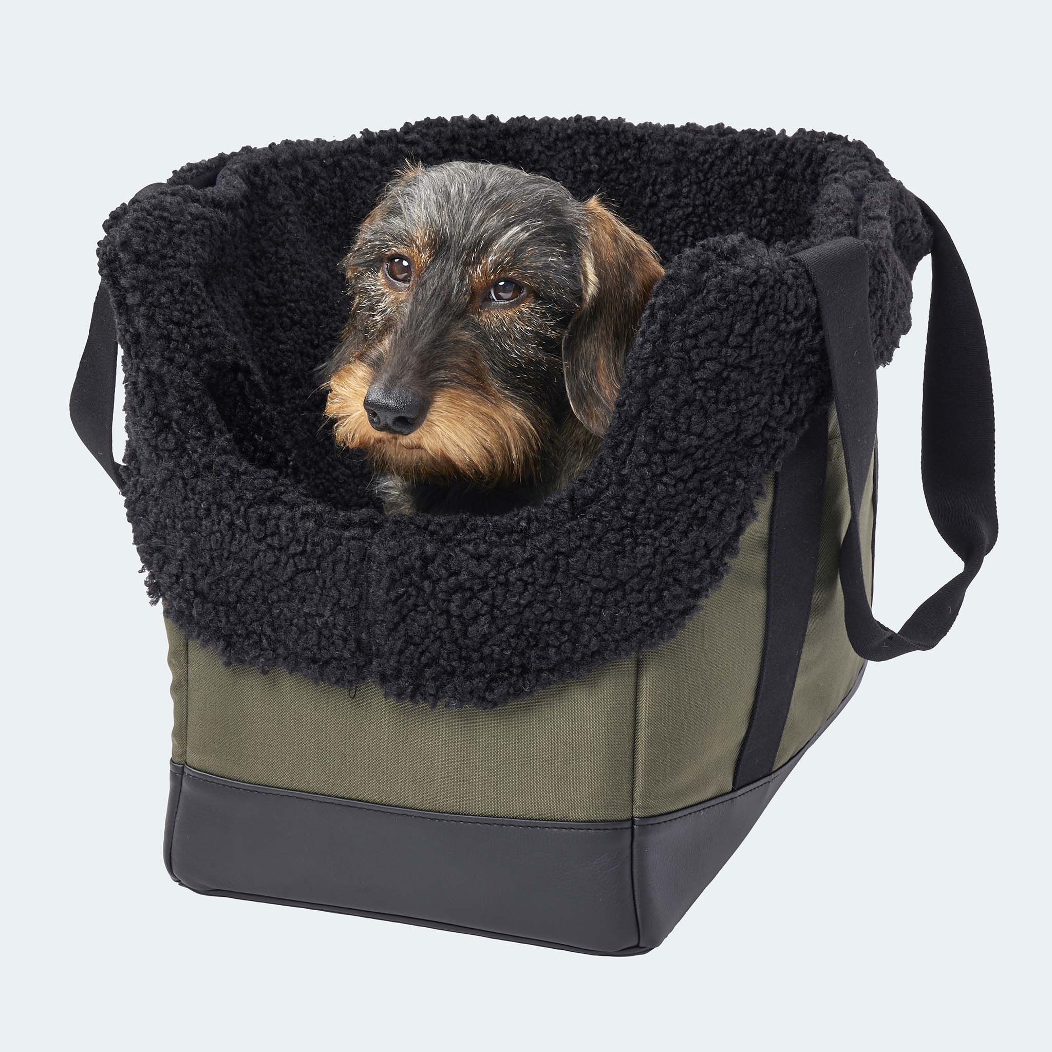 Hundetasche EasyLuxe mit schwarzem Curly mit einem Dackel. Frontansicht.  [schwarz]