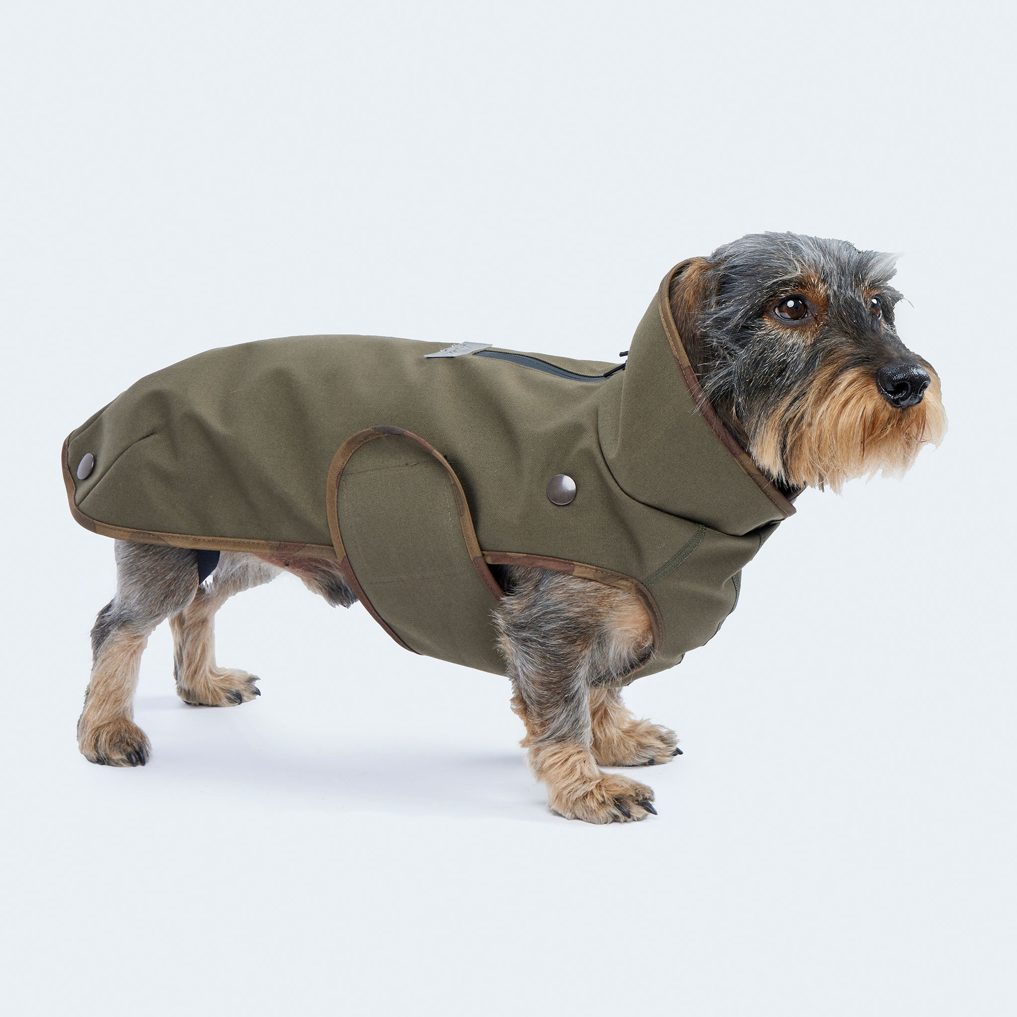 Leopold's Finest | Dackel in gefüttertem
Hundewintermantel im Parka Stil in oliv. Seitenansicht
