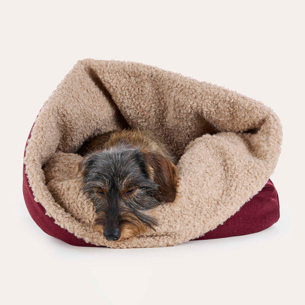 Leopold's Finest for Dogs Rauhaardackel liegt in Hunde Loden Kuschelsack Linz 