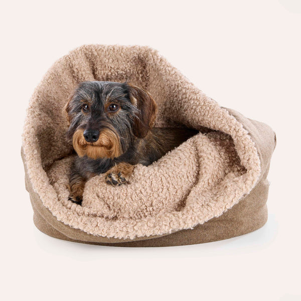 Leopold's Finest for Dogs Rauhaardackel liegt in Hunde Loden Kuschelsack Salzburg mit Webpelz Curly Innenfutter