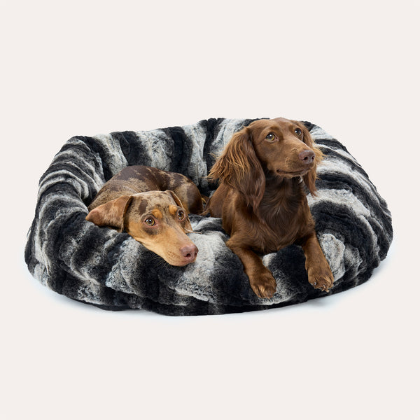 Leopold's Finest for Dogs Langhaardackel und Glatthaardackel liegen zusammen in Hunde Loden Kuschelsack anthrazit mit Chinchilla Muster