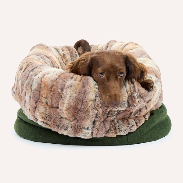 Leopold's Finest for Dogs Glatthaardackel liegt in Hunde Loden Kuschelsack München mit Webpelz Innenfutter