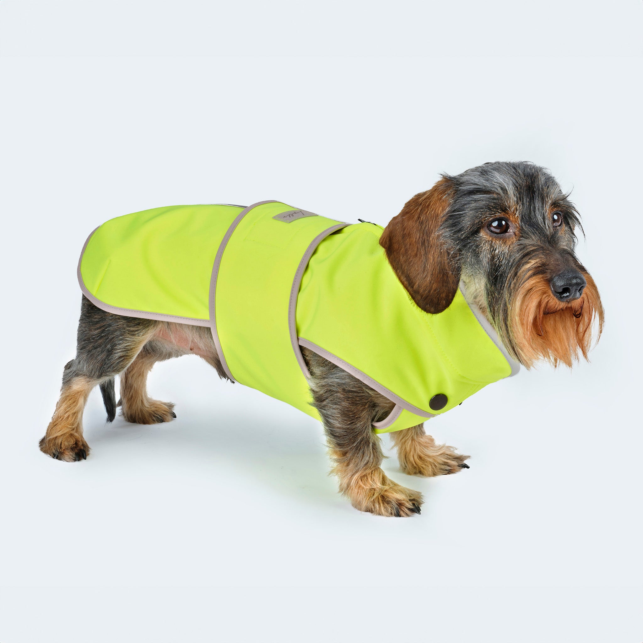 Dog coat dachshund softshell yellow leopolds-finest
