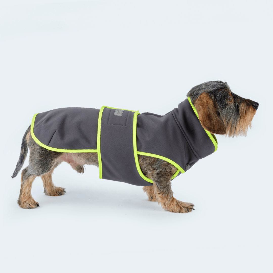 Dackel in Softshell-Mantel für Dackel und kleine Hunde in anthrazit. Seitenansicht