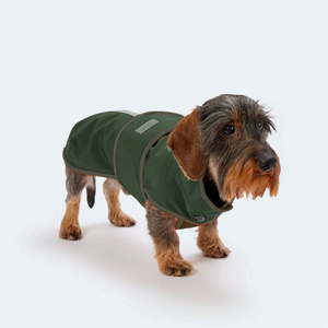 Hundemantel Dackel Softshell oliv