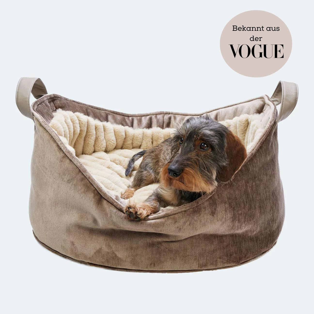 Boy dog beds discount