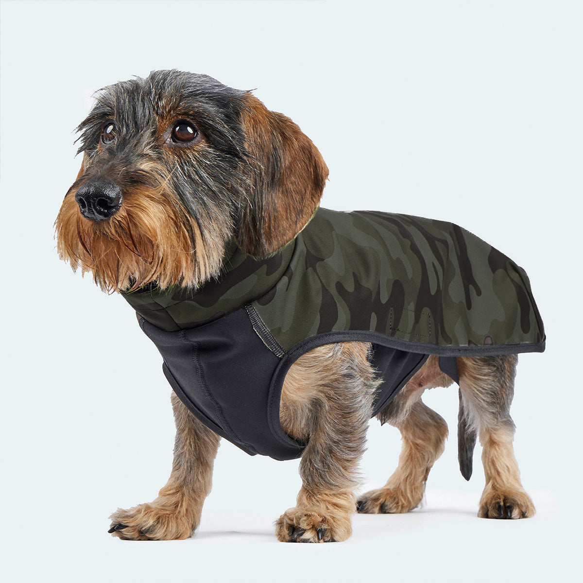Hundemantel Windbreaker Camouflage dunkelgrün